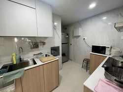 the-tanamera photo thumbnail #10